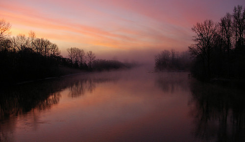 07_Morning_Mist
