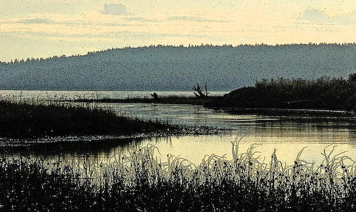 11_Marilyn_Estuary