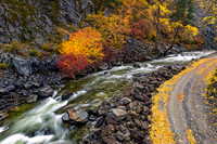 A08)09~1st Choice~Fall Color~Lee Dygert