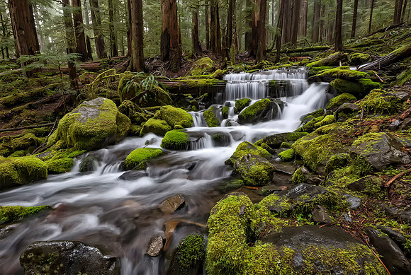 Lee Dygert_Landscape_Water Steps