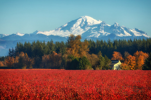 3-34~Landscape~PNW Fall~Jan Crawford