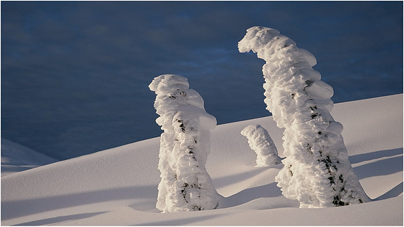 6-04~Nature~Snow Sculptures~Murphy Hektner
