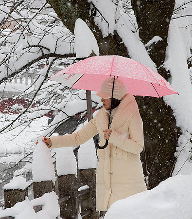 Takayama Snowfall - Roger Iverson