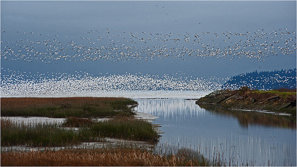 3-29~Landscape Seascape~Lift Off~Murphy Hektner