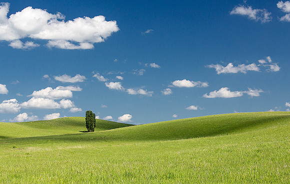 16_4_Roger Iverson_Palouse_24