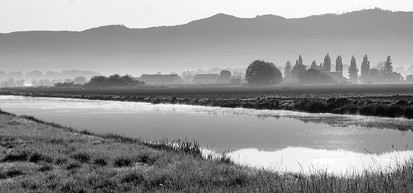 4-14~Monochrome~Early Morning Fog~Marilyn Hektner
