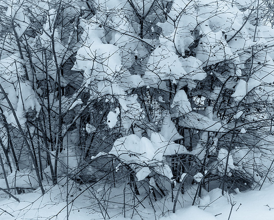 4-06~Monochrome~Snow Patterns~Ramona Hammerly