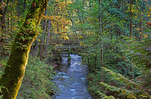 3-03~Landscape~Footbridge over Creek~Margaretha Maryk