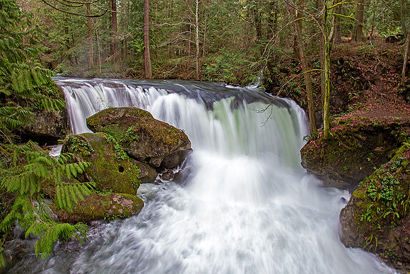5-HM5)5-19~Waterfalls~Whatcom Falls in Spring~Margaretha Maryk