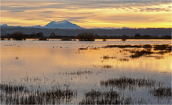 3-36~Landscape Seascape~Early Morning~Murphy Hektner