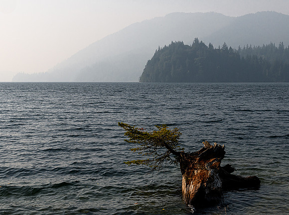 3-37~Landscape~Lake Whatcom Park~Vance Deason