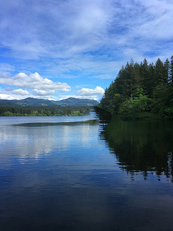 3-15~Landscape~Reflective Intrigue~Leslie Braun