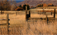 IMGP1988-equalize- -1080