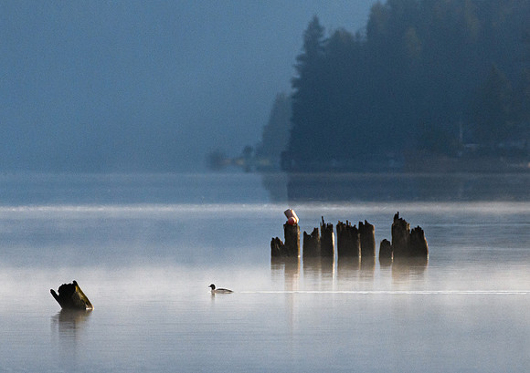 3-30~Landscape~Foggy Morning~Vance Deason