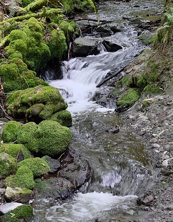 5-05~Waterfalls~Padden Gorge Cascade~Stephen Frye