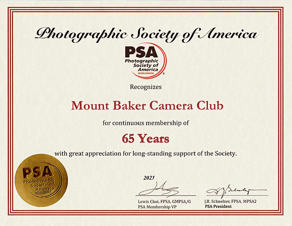 PSA 65 Years Certificate