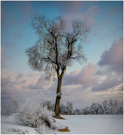 7-05~Open~A Beautiful Morning~Keith Clements