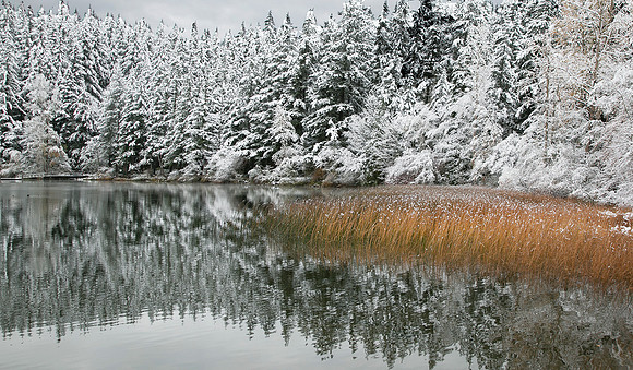 3-HM1)3-04~Landscape~October Snow~Elvira Butler