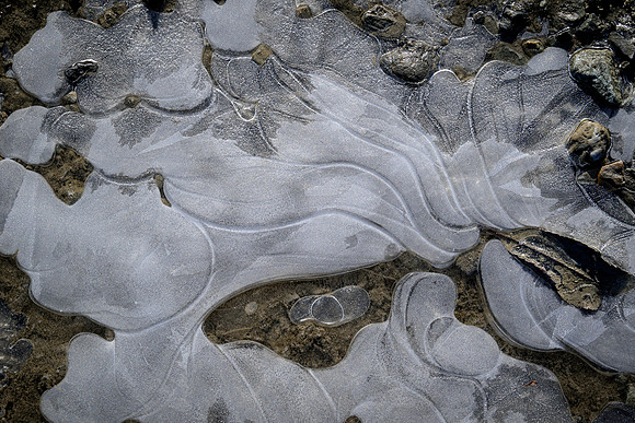 R Hammerly_pattern_Puddle Ice