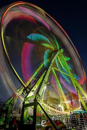 Lights in Motion - Roger Patterson