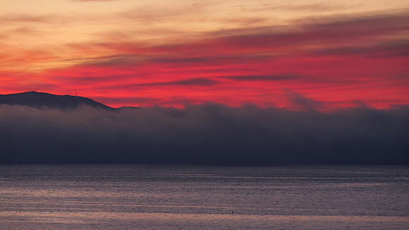 Boulevard Park Sunset - Stephen Frye