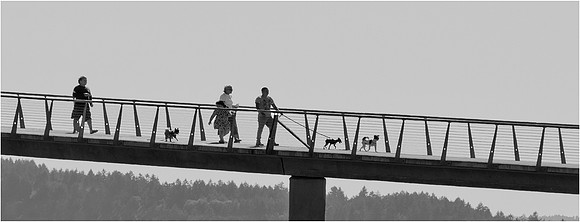 Walking the Dogs - Murphy Hektner