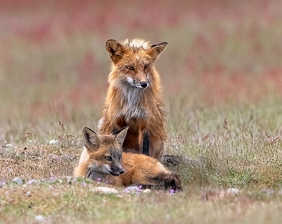 Mother and Child