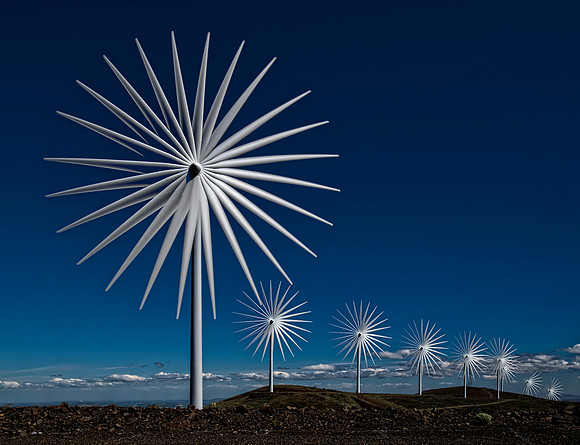 Lee Dygert_Open_Pinwheels_