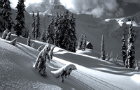 A Winter Day