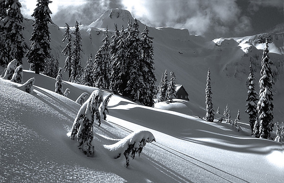 A Winter Day