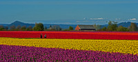 DSC_7948-1920