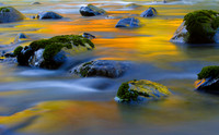 IMGP3043-1080