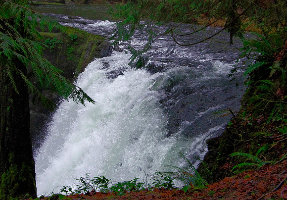 5-09~Waterfalls~Raging River~Marilyn Hektner