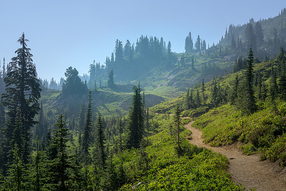 R Hammerly_sceneryZ_Winding Trail