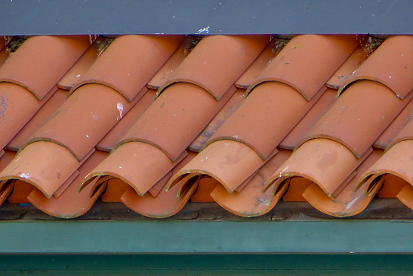 Bird Splashed Roof Tiles - Cathey Frederick