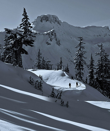 Cross Country Skiers - Murphy Hektner
