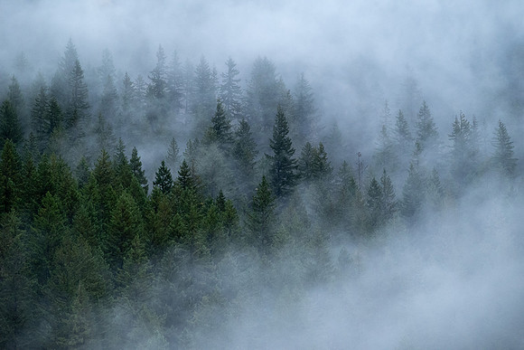 R Hammerly_scenery_Morning Fog