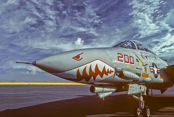 F-14 Tomcat