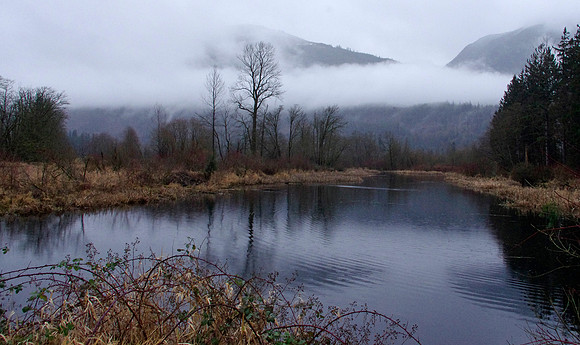 3-33~LandscapesSeascapes~Misty Winter Day~Marilyn Hektner